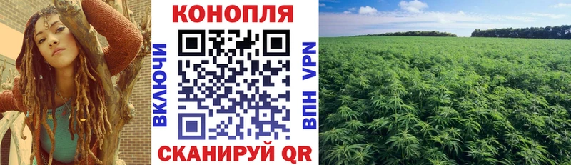 КЕТАМИН Багратионовск