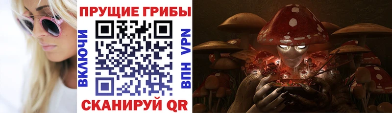 Псилоцибиновые грибы Cubensis  Багратионовск 